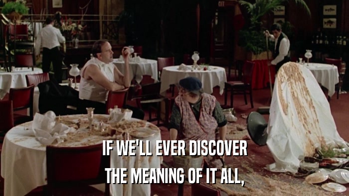 IF WE'LL EVER DISCOVER THE MEANING OF IT ALL, 