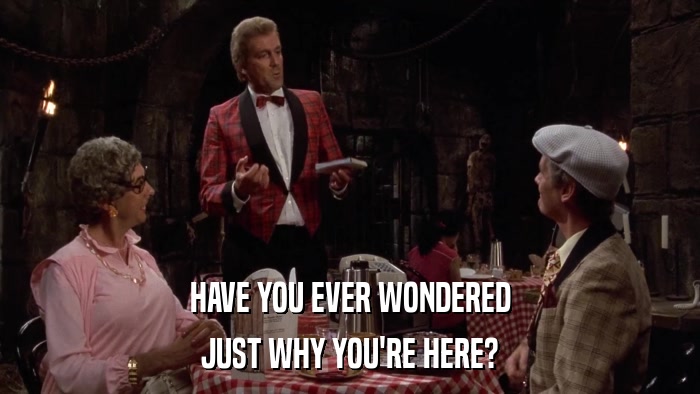 HAVE YOU EVER WONDERED JUST WHY YOU'RE HERE? 