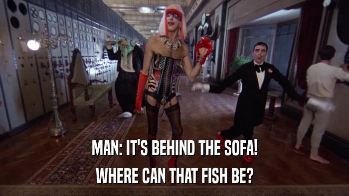 MAN: IT'S BEHIND THE SOFA! WHERE CAN THAT FISH BE? 