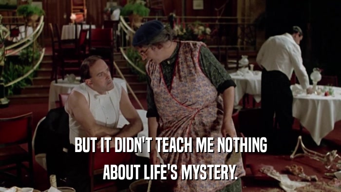 BUT IT DIDN'T TEACH ME NOTHING ABOUT LIFE'S MYSTERY. 