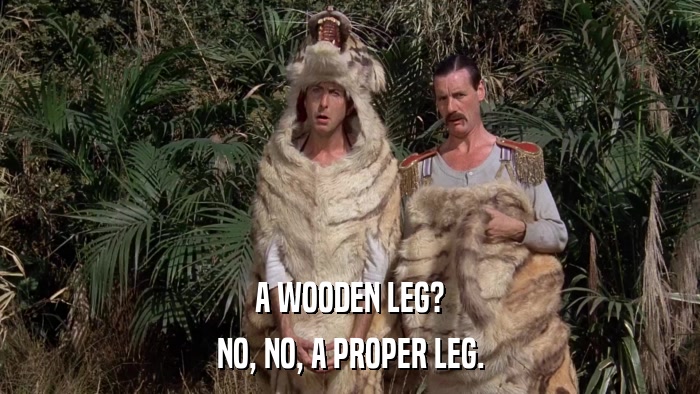 A WOODEN LEG? NO, NO, A PROPER LEG. 