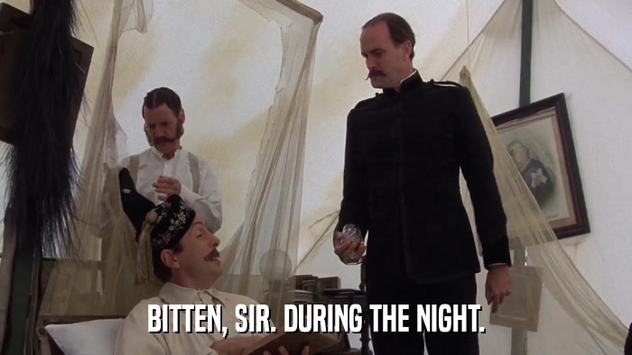 BITTEN, SIR. DURING THE NIGHT.  