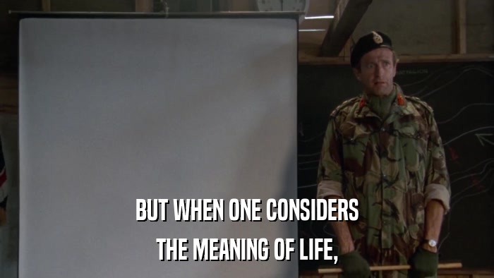 BUT WHEN ONE CONSIDERS THE MEANING OF LIFE, 