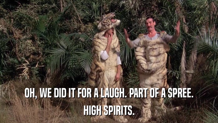 OH, WE DID IT FOR A LAUGH. PART OF A SPREE. HIGH SPIRITS. 