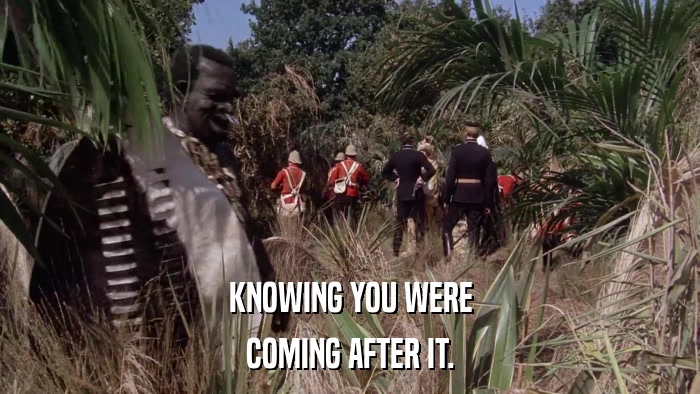 KNOWING YOU WERE COMING AFTER IT. 