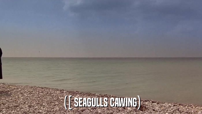 ([ SEAGULLS CAWING)  