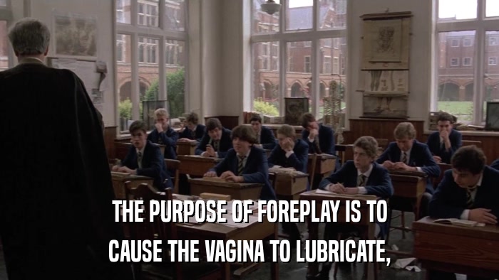 THE PURPOSE OF FOREPLAY IS TO CAUSE THE VAGINA TO LUBRICATE, 