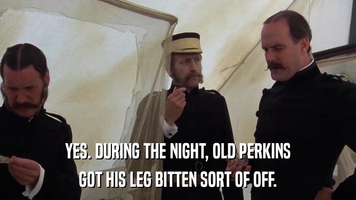 YES. DURING THE NIGHT, OLD PERKINS GOT HIS LEG BITTEN SORT OF OFF. 