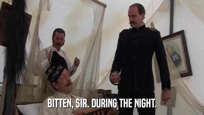 BITTEN, SIR. DURING THE NIGHT.  