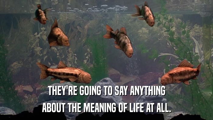 THEY'RE GOING TO SAY ANYTHING ABOUT THE MEANING OF LIFE AT ALL. 