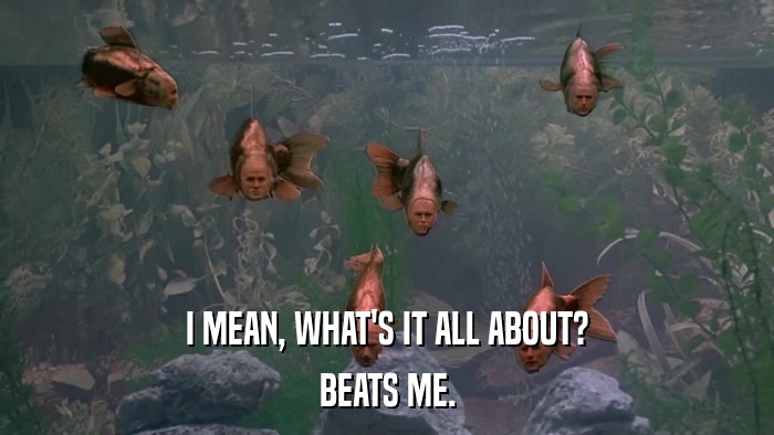 I MEAN, WHAT'S IT ALL ABOUT? BEATS ME. 