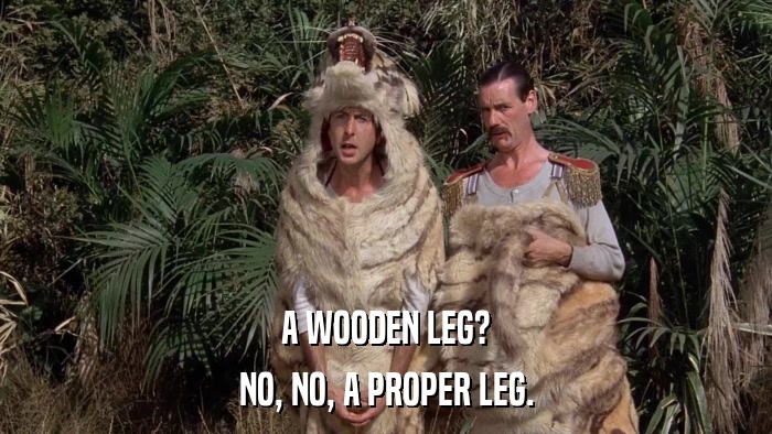 A WOODEN LEG? NO, NO, A PROPER LEG. 