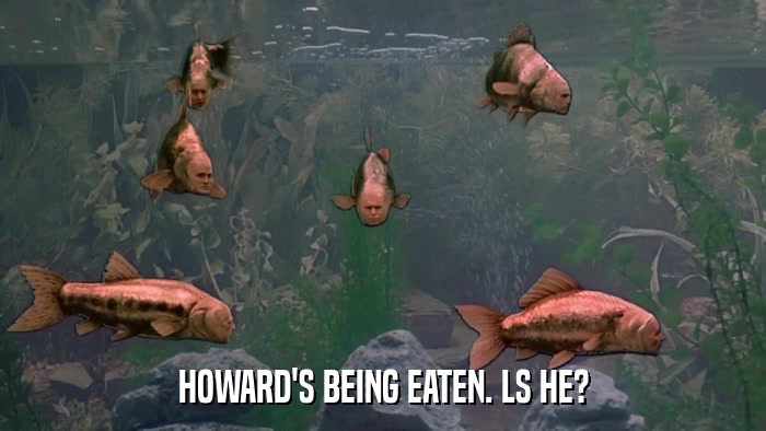 HOWARD'S BEING EATEN. LS HE?  