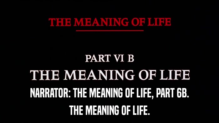 NARRATOR: THE MEANING OF LIFE, PART 6B. THE MEANING OF LIFE. 