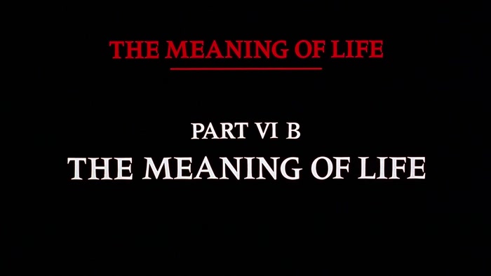 NARRATOR: THE MEANING OF LIFE, PART 6B. THE MEANING OF LIFE. 