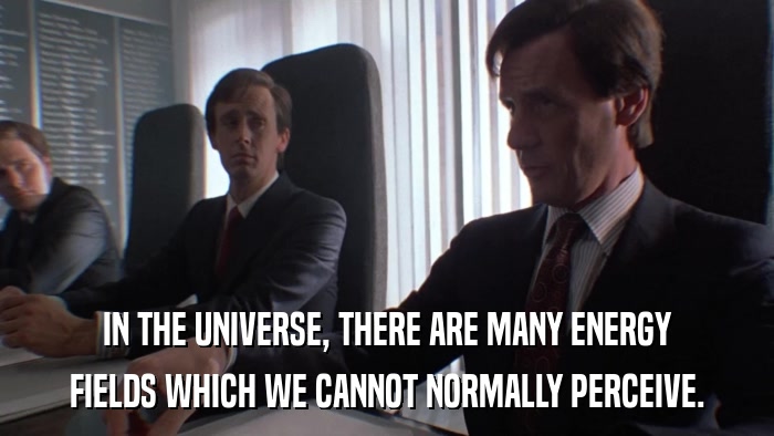 IN THE UNIVERSE, THERE ARE MANY ENERGY FIELDS WHICH WE CANNOT NORMALLY PERCEIVE. 