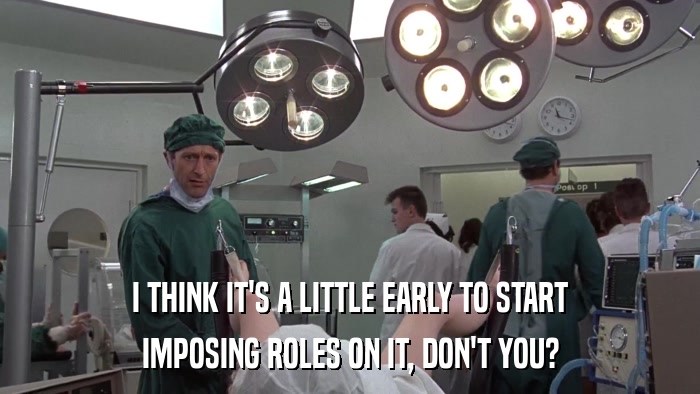 I THINK IT'S A LITTLE EARLY TO START IMPOSING ROLES ON IT, DON'T YOU? 