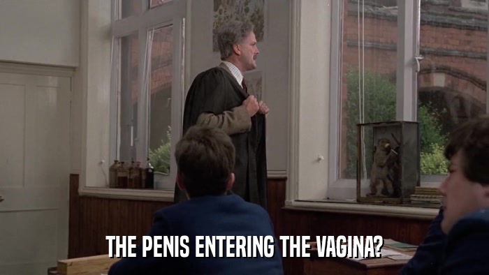 THE PENIS ENTERING THE VAGINA?  