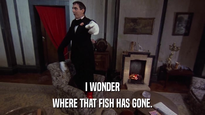 I WONDER WHERE THAT FISH HAS GONE. 