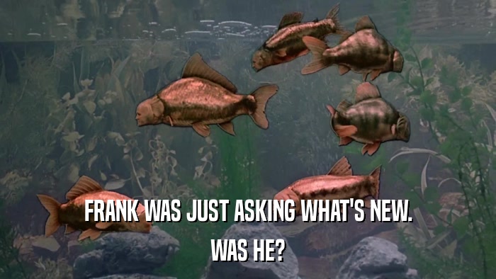 FRANK WAS JUST ASKING WHAT'S NEW. WAS HE? 