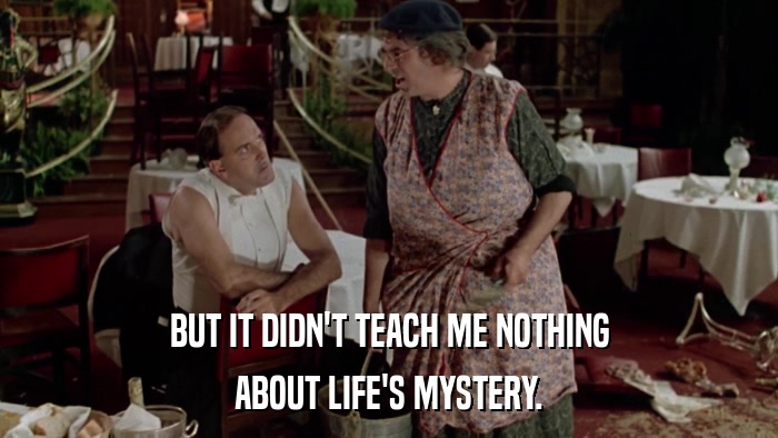 BUT IT DIDN'T TEACH ME NOTHING ABOUT LIFE'S MYSTERY. 