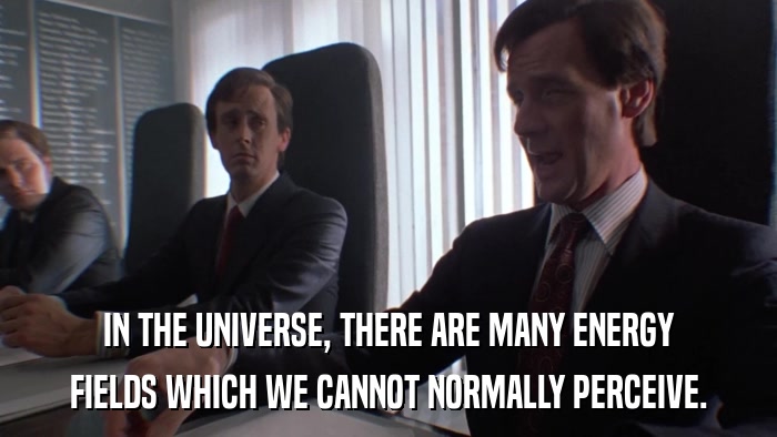 IN THE UNIVERSE, THERE ARE MANY ENERGY FIELDS WHICH WE CANNOT NORMALLY PERCEIVE. 