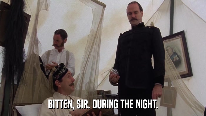 BITTEN, SIR. DURING THE NIGHT.  