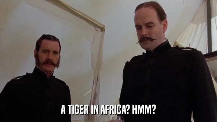 A TIGER IN AFRICA? HMM?  