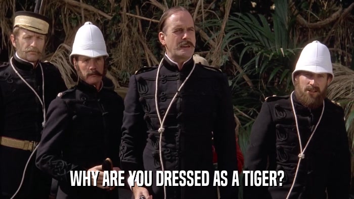 WHY ARE YOU DRESSED AS A TIGER?  