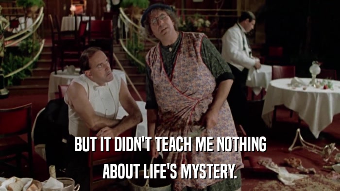 BUT IT DIDN'T TEACH ME NOTHING ABOUT LIFE'S MYSTERY. 