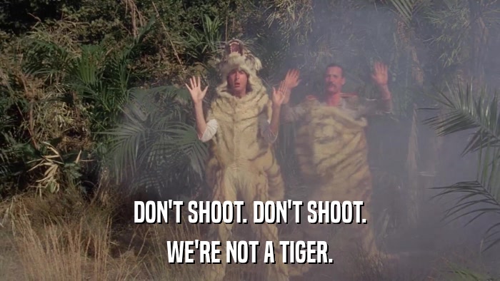 DON'T SHOOT. DON'T SHOOT. WE'RE NOT A TIGER. 