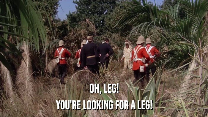 OH, LEG! YOU'RE LOOKING FOR A LEG! 