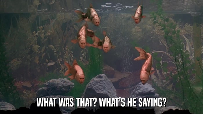 WHAT WAS THAT? WHAT'S HE SAYING?  