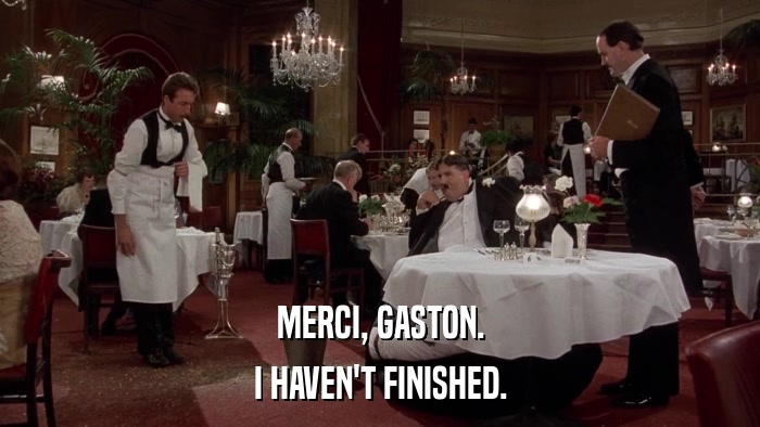 MERCI, GASTON. I HAVEN'T FINISHED. 