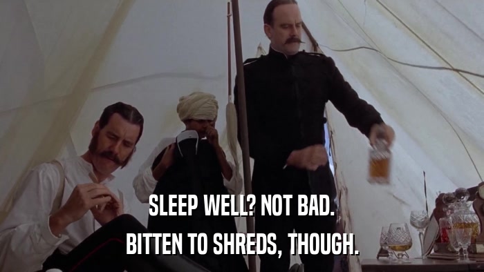 SLEEP WELL? NOT BAD. BITTEN TO SHREDS, THOUGH. 