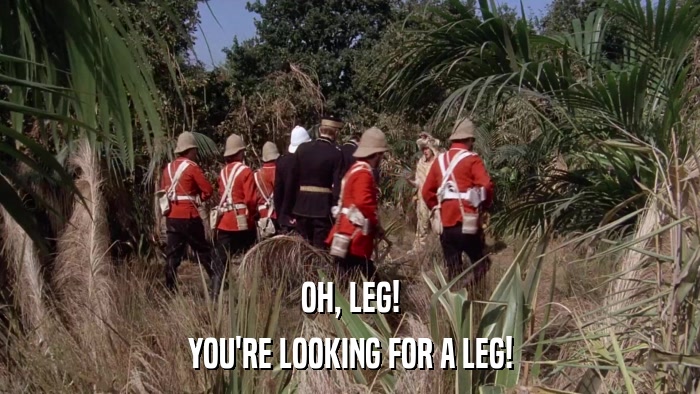 OH, LEG! YOU'RE LOOKING FOR A LEG! 