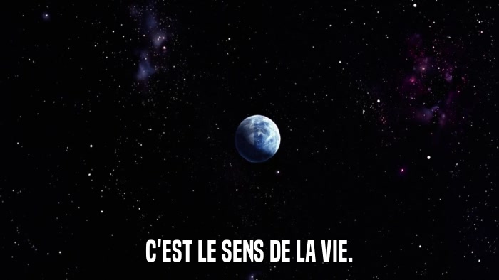 C'EST LE SENS DE LA VIE.  