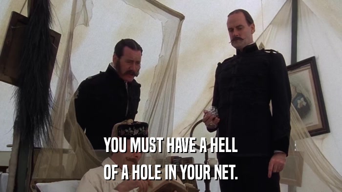 YOU MUST HAVE A HELL OF A HOLE IN YOUR NET. 