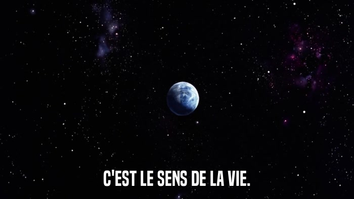 C'EST LE SENS DE LA VIE.  