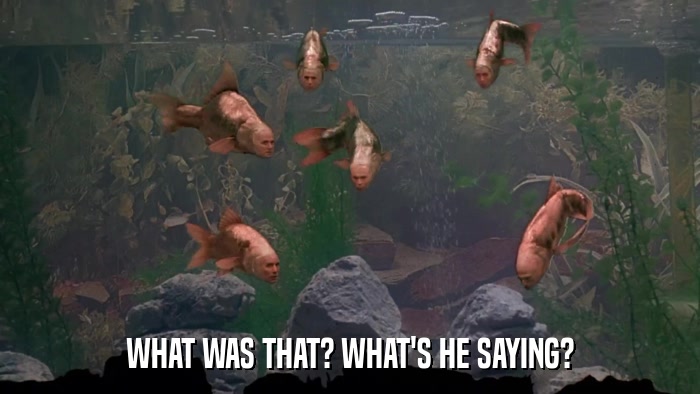 WHAT WAS THAT? WHAT'S HE SAYING?  