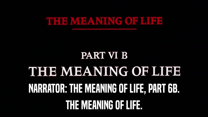 NARRATOR: THE MEANING OF LIFE, PART 6B. THE MEANING OF LIFE. 