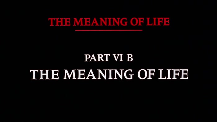 NARRATOR: THE MEANING OF LIFE, PART 6B. THE MEANING OF LIFE. 