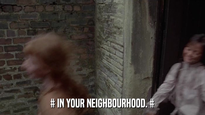# IN YOUR NEIGHBOURHOOD. #  