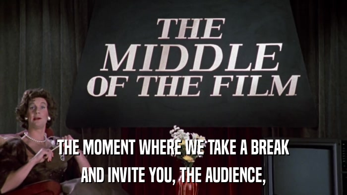 THE MOMENT WHERE WE TAKE A BREAK AND INVITE YOU, THE AUDIENCE, 