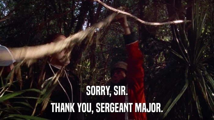 SORRY, SIR. THANK YOU, SERGEANT MAJOR. 