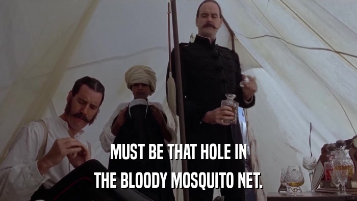 MUST BE THAT HOLE IN THE BLOODY MOSQUITO NET. 