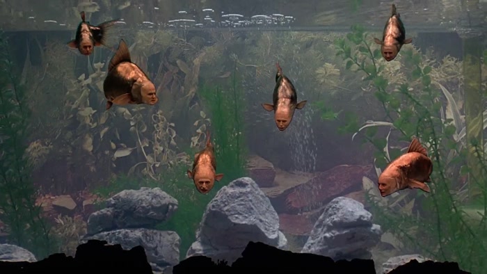 THEY HAVEN'T SAID MUCH ABOUT THE MEANING OF LIFE SO FAR, HAVE THEY? 