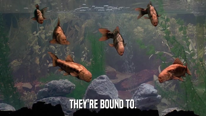 THEY'RE BOUND TO.  