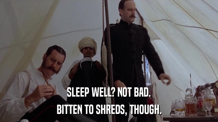 SLEEP WELL? NOT BAD. BITTEN TO SHREDS, THOUGH. 