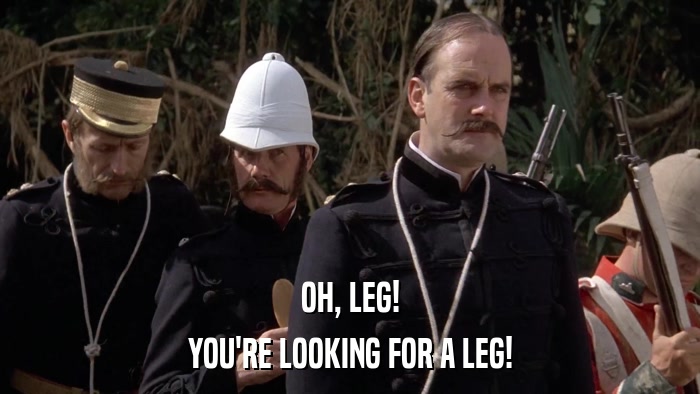 OH, LEG! YOU'RE LOOKING FOR A LEG! 